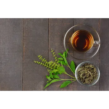 Natural Dried Tulsi Leaves